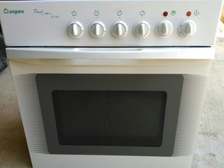Despiece horno aspes de segunda mano por 10 EUR en Valgranda en WALLAPOP