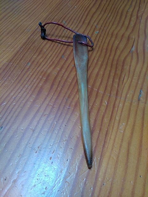 Huesos antiguo para cata jamón