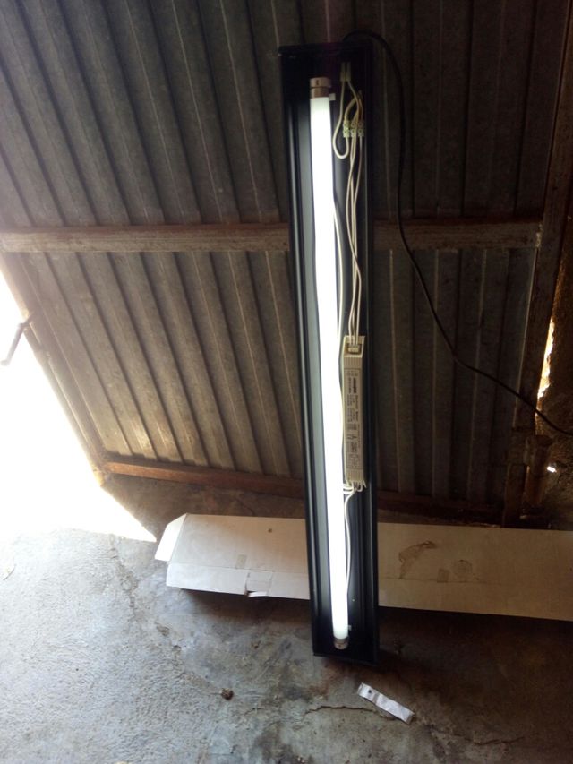 iluminacion terrario