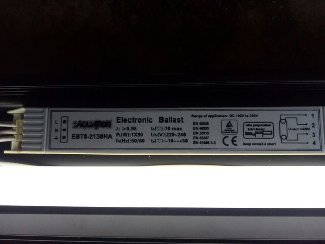 iluminacion terrario