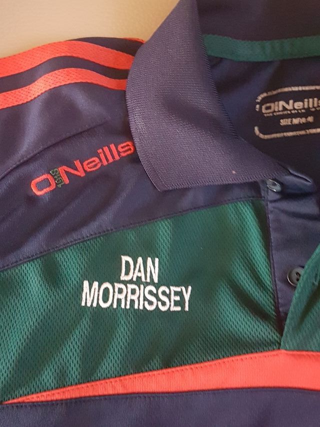 Camiseta futbol Irlanda