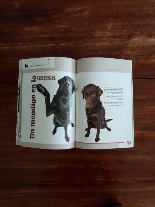 libro Quiero a mi Labrador