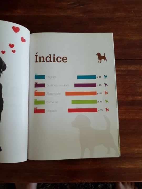 libro Quiero a mi Labrador