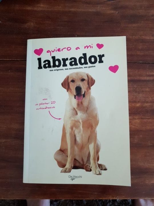 libro Quiero a mi Labrador