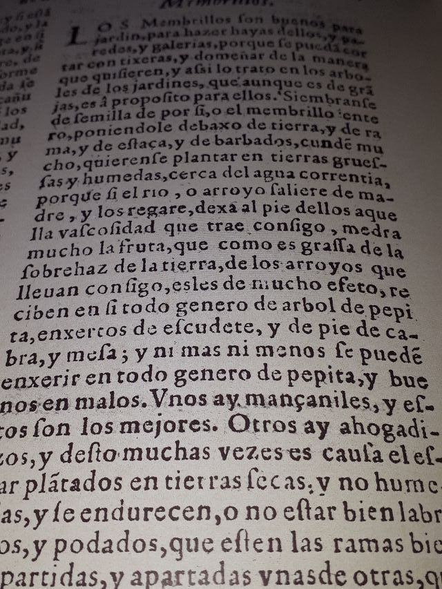 LIBRO JARDINES. NUEVO REBAJADO