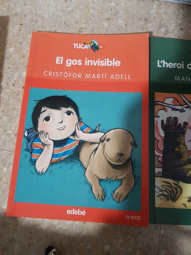 Libros lectura en catalan
