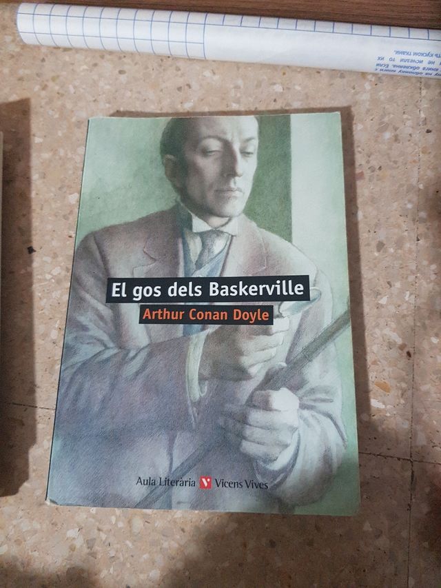 Libros lectura en catalan