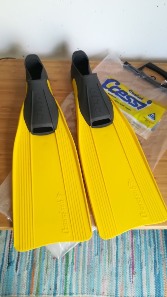 aletas cressisub clio