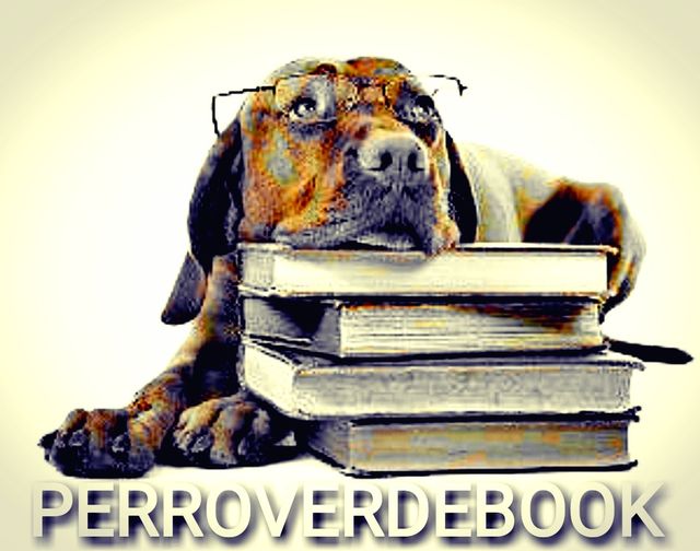 Saramago.. ENSAYO SOBRE LA LUCIDEZ