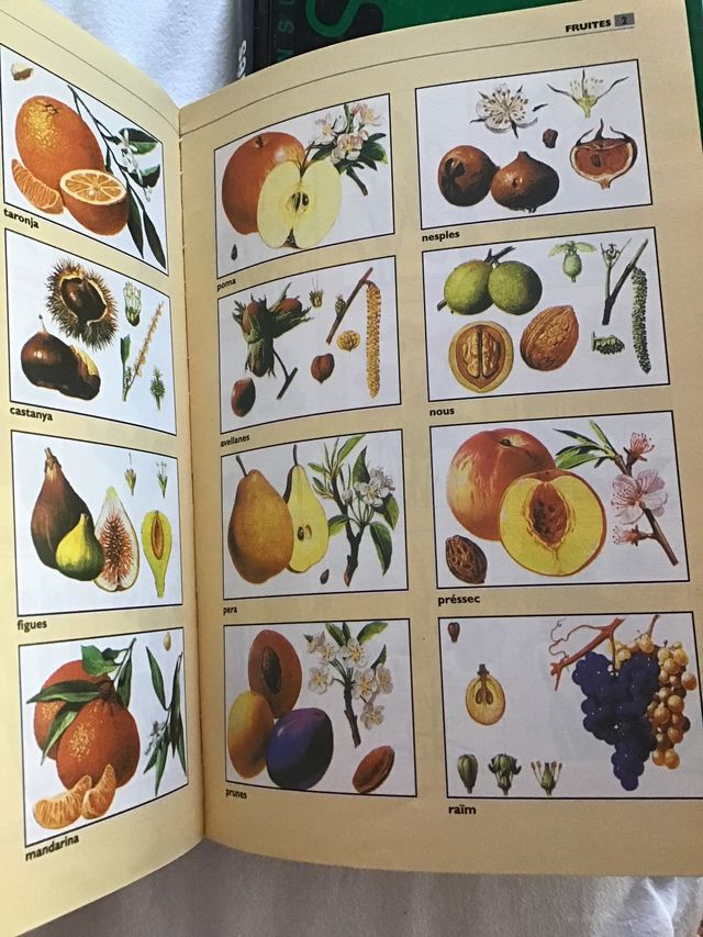 Diccionarios Larousse, Oxford ingles y Catalan