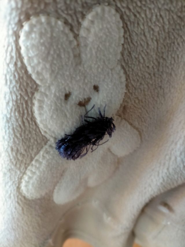 Bata infantil con capucha