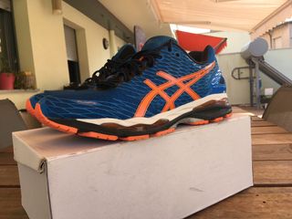 asics nimbus 43.5