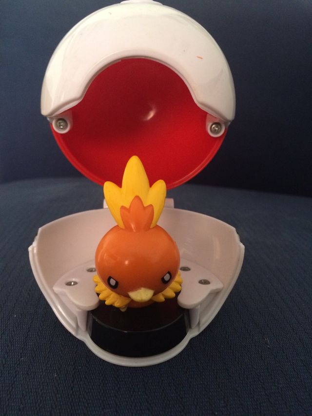 Pokeball con pokemon dentro