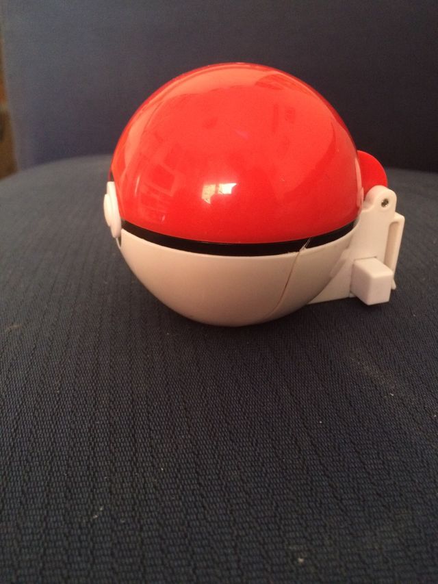 Pokeball con pokemon dentro
