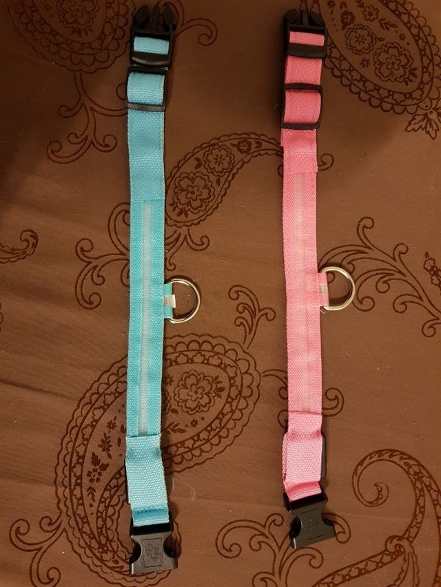 Collar para perros.