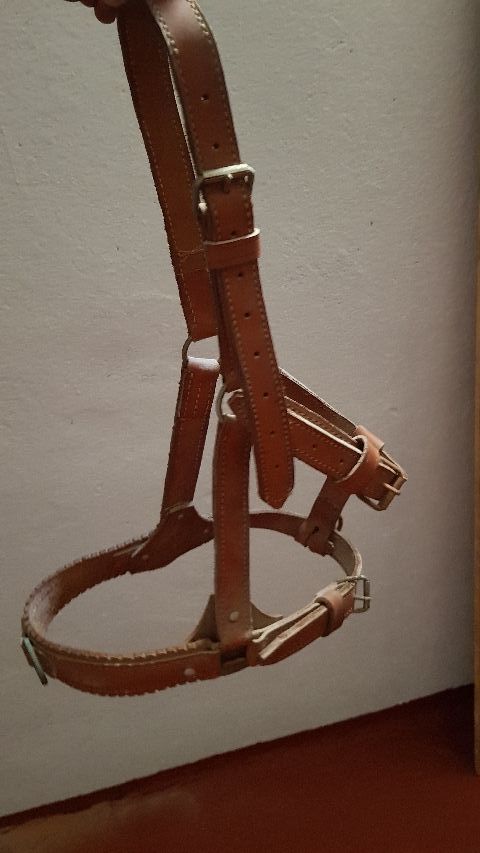 cabezon de cuero muy grueso