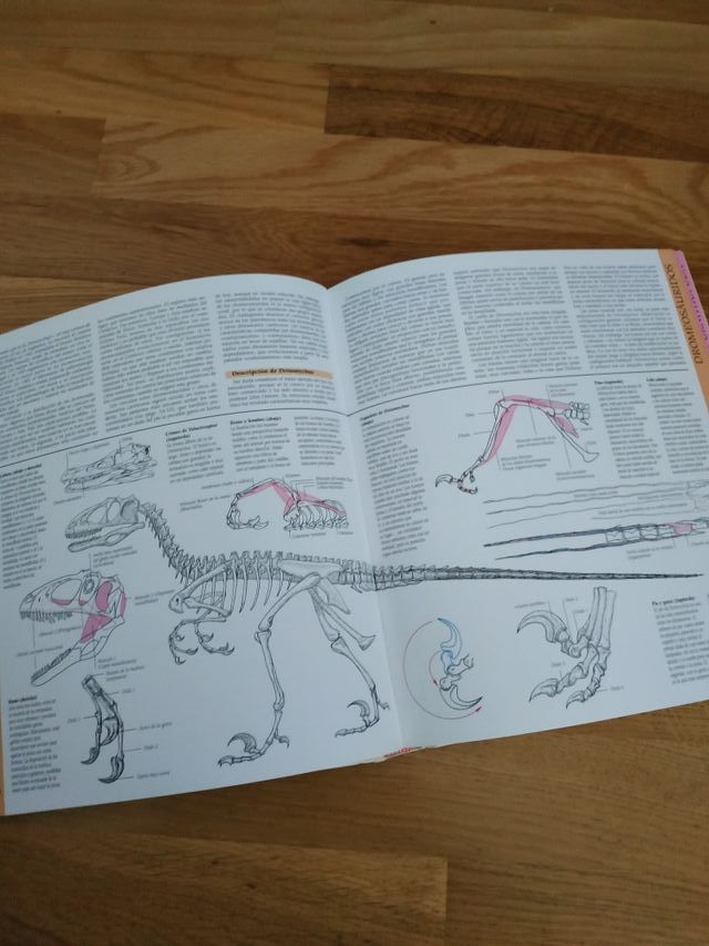 Atlas Ilustrado de los Dinosaurios
