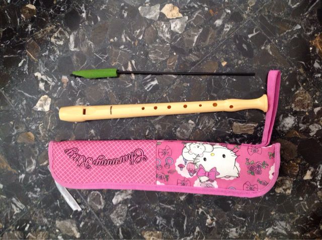 Flauta escolar con estuche y limpiador.