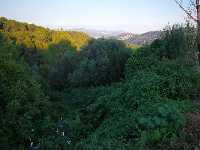 Terreno urbanizable en venta Cervelló