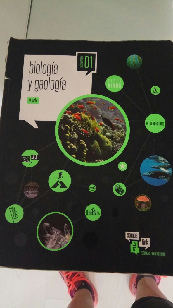 Libros 1° Bachiller de segunda mano por 15 € en Sevilla en