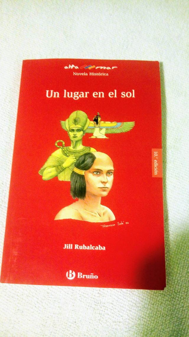 libro Un Lugar en el Sol.