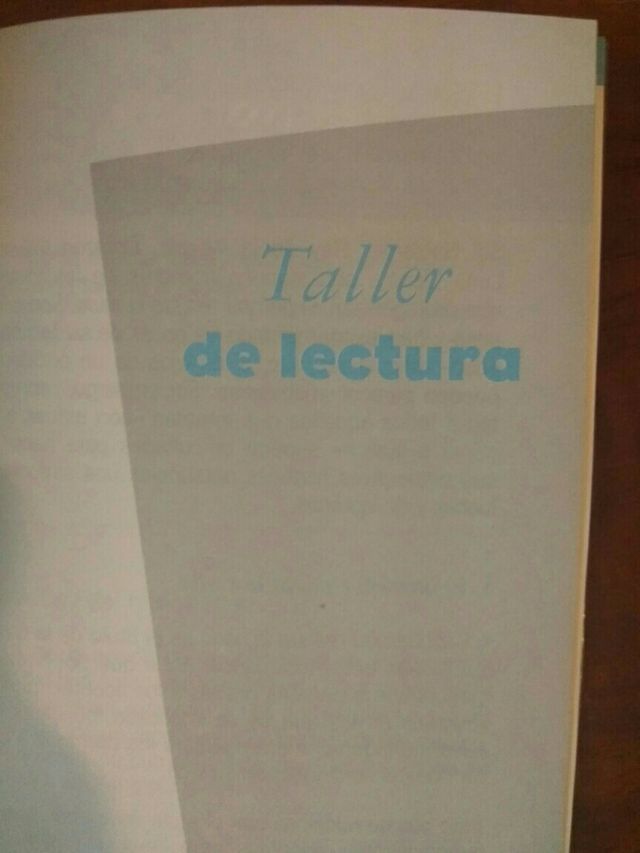 El bambú resiste la riada