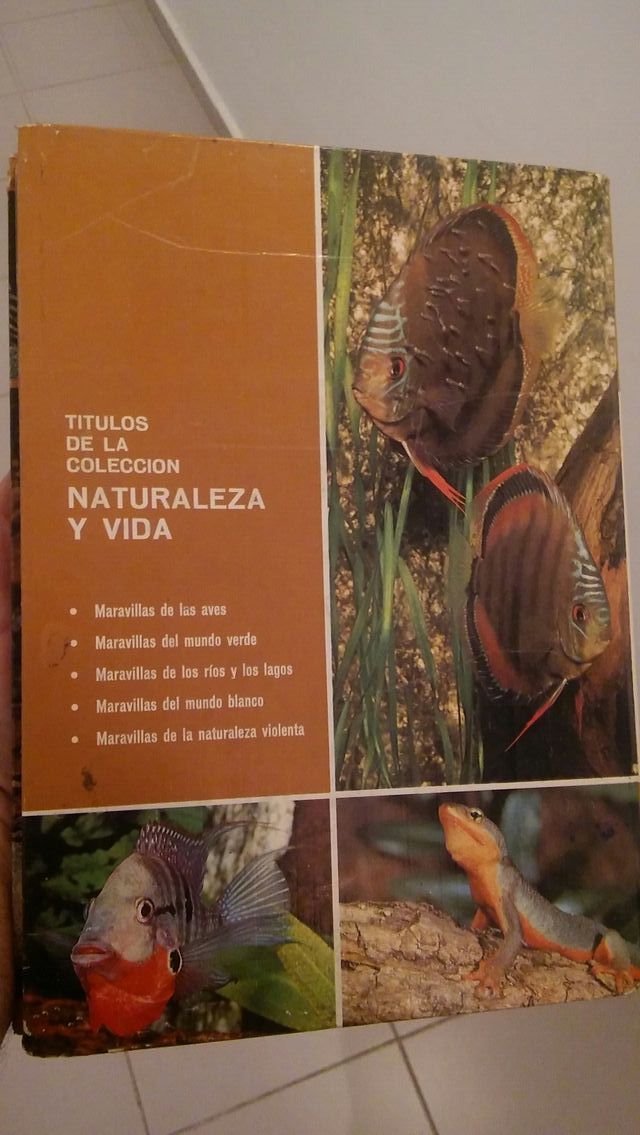 Maravillas de lagos y rios