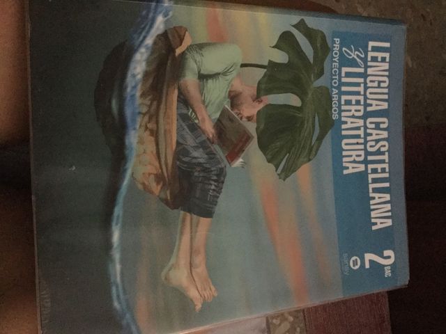 Lengua castellana y literatura 2- bachiller