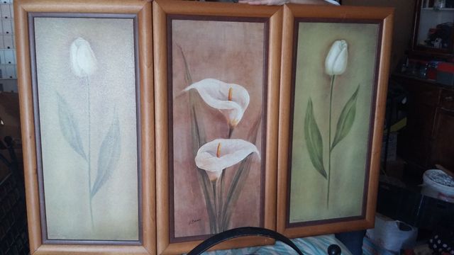 Cuadros de flores