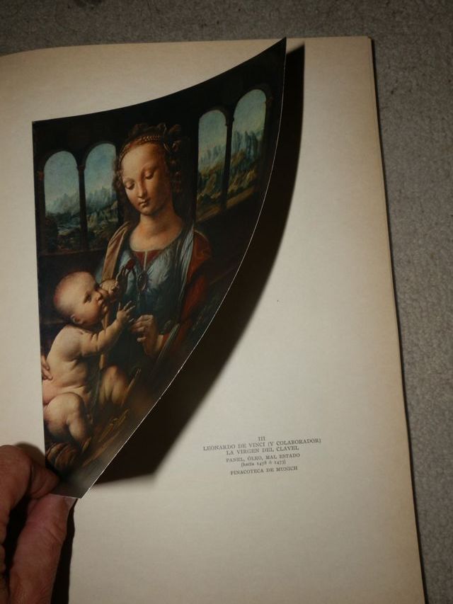 LEONARDO DE VINCI AÑO 1953