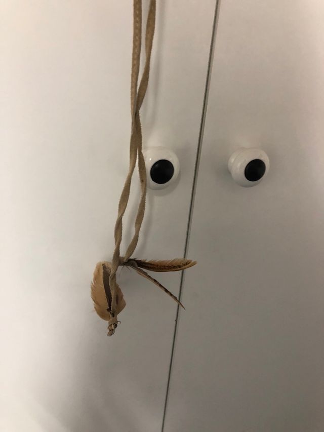 Chaqueta ante mujer talla 38