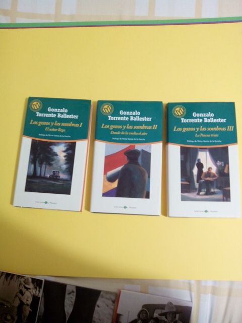 Los gozos y las sombras