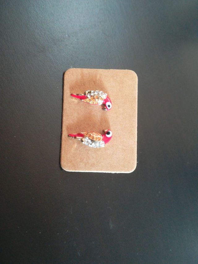 Pendientes de Loros 🦜🦜