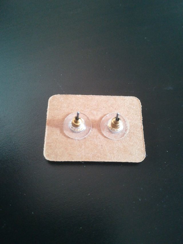 Pendientes de Loros 🦜🦜