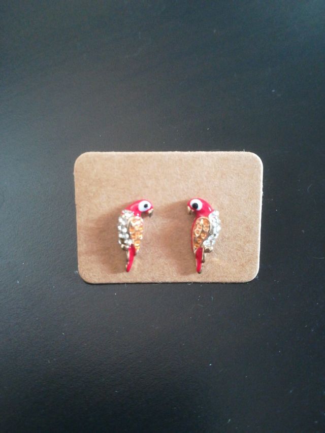 Pendientes de Loros 🦜🦜