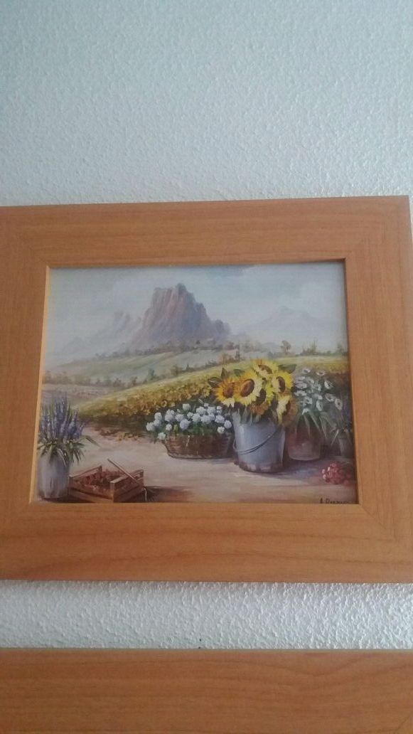 Dos cuadros color haya