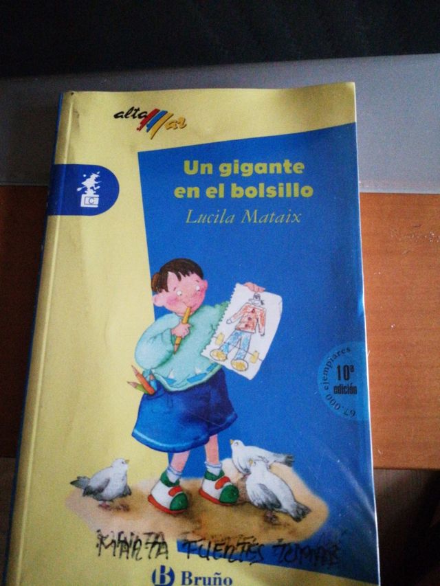 UN GIGANTE EN EL BOLSILLO