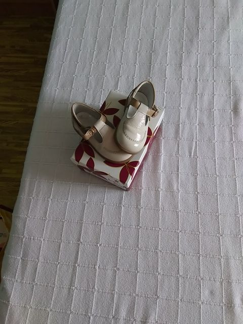 zapato niño número 24