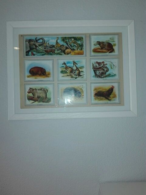 cuadro lámina enmarcada