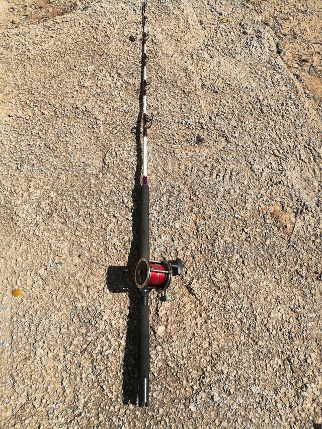 Caña pesca currican y carrete