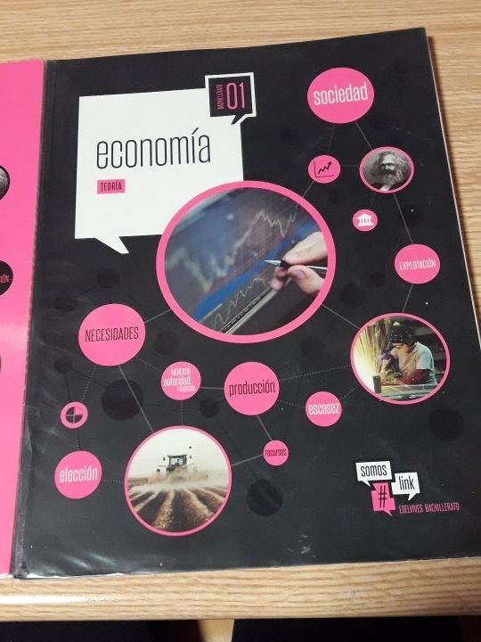 Libros economía (edelvives) 1bach