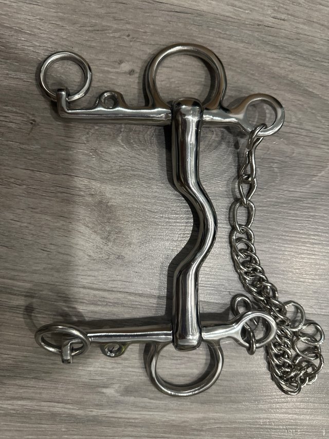 bocado pelham para caballo
