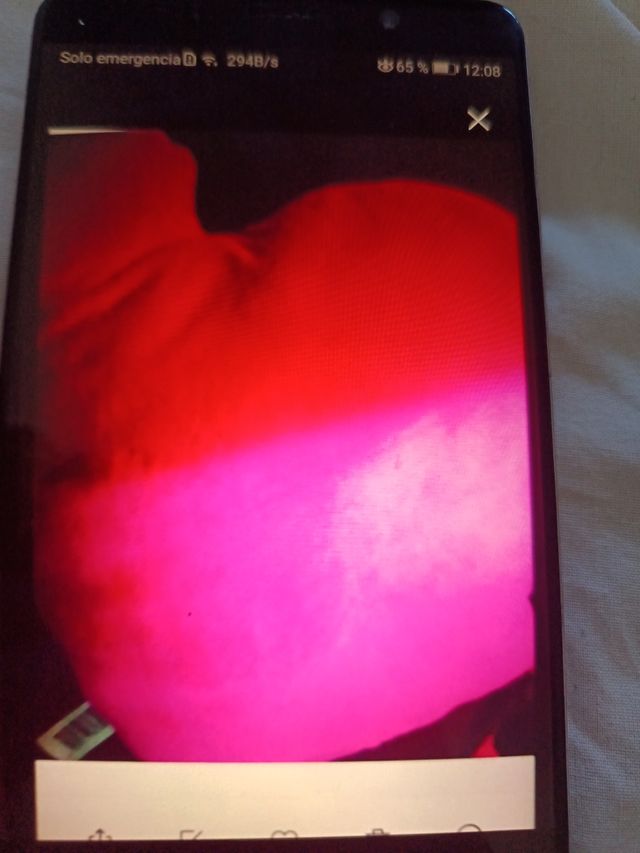 Cojines infantiles elfo, emoticono y dora explorad