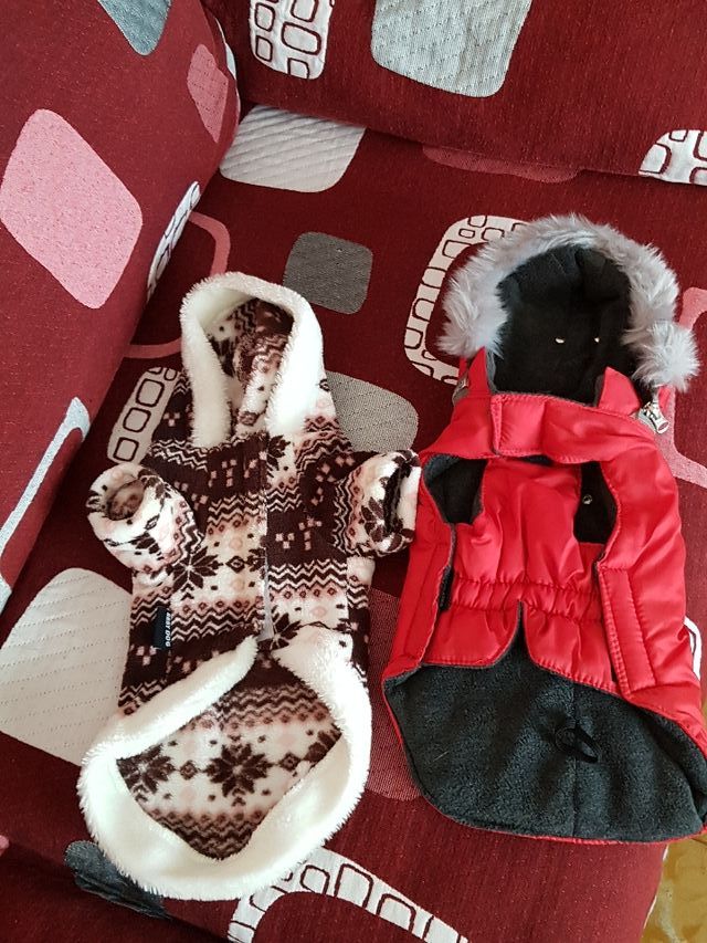 dos trajes de perrita