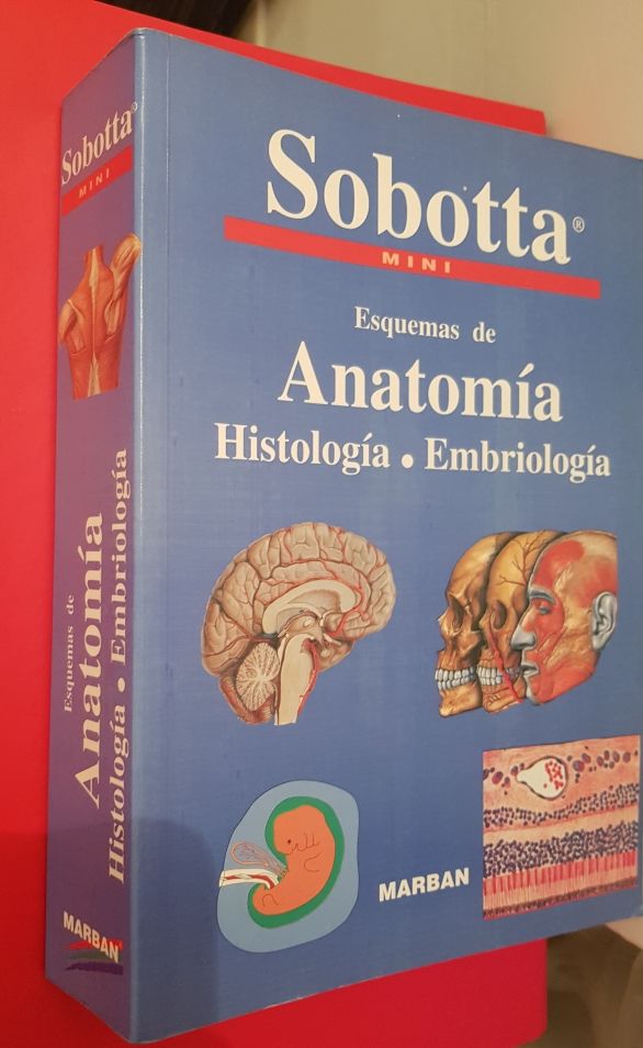 Mini Sobotta. Esquemas de Anatomia. Marban