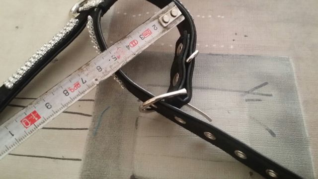 Correa negra con brillantitos, perro pequeño