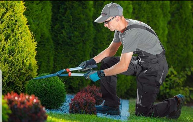 jardinero profesional económico