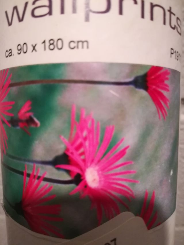 Vinilo adhesivo 90x180 cms