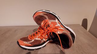 asics dynamic duomax mujer asics dynamic duomax mujer