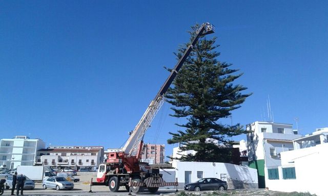 grua iasa trio 30\30